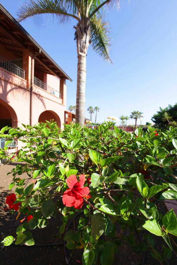 Residence Del Mare Casesicule Santa Maria Del Focallo Dış mekan fotoğraf